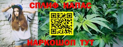 спайс Можга