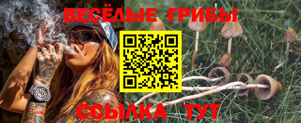 Галлюциногенные грибы прущие грибы Саров